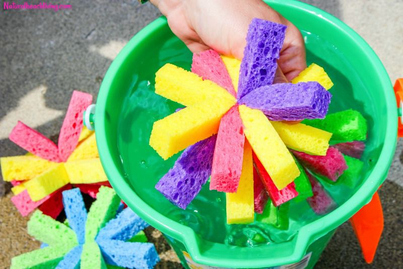 sponges.jpg